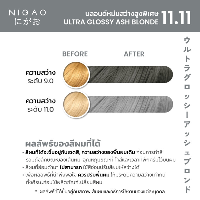 NIGAO Hair Color Silver Grey - รวมโทนสีเทา - Image 6