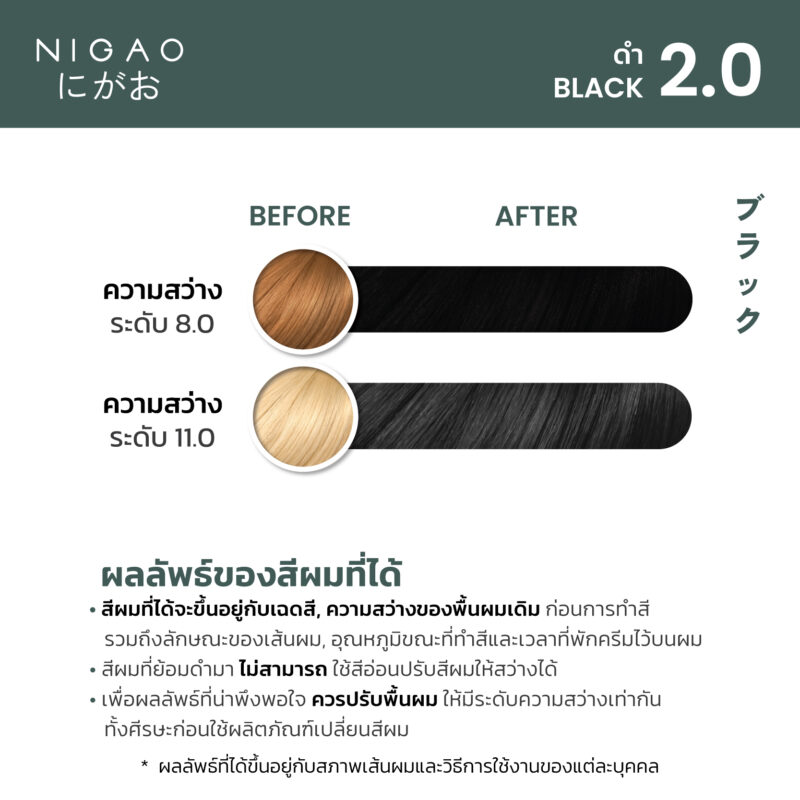 NIGAO Hair Color Natural - รวมโทนสีธรรมชาติ - Image 6