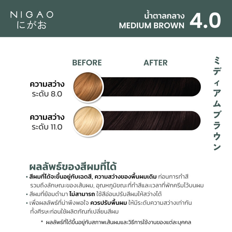 NIGAO Hair Color Natural - รวมโทนสีธรรมชาติ - Image 8