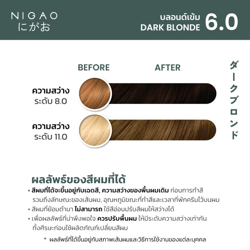 NIGAO Hair Color Natural - รวมโทนสีธรรมชาติ - Image 10