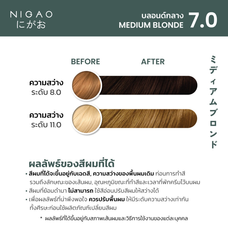 NIGAO Hair Color Natural - รวมโทนสีธรรมชาติ - Image 11