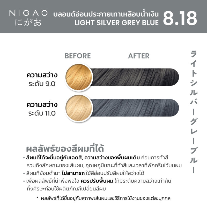 NIGAO Hair Color Silver Grey - รวมโทนสีเทา - Image 10