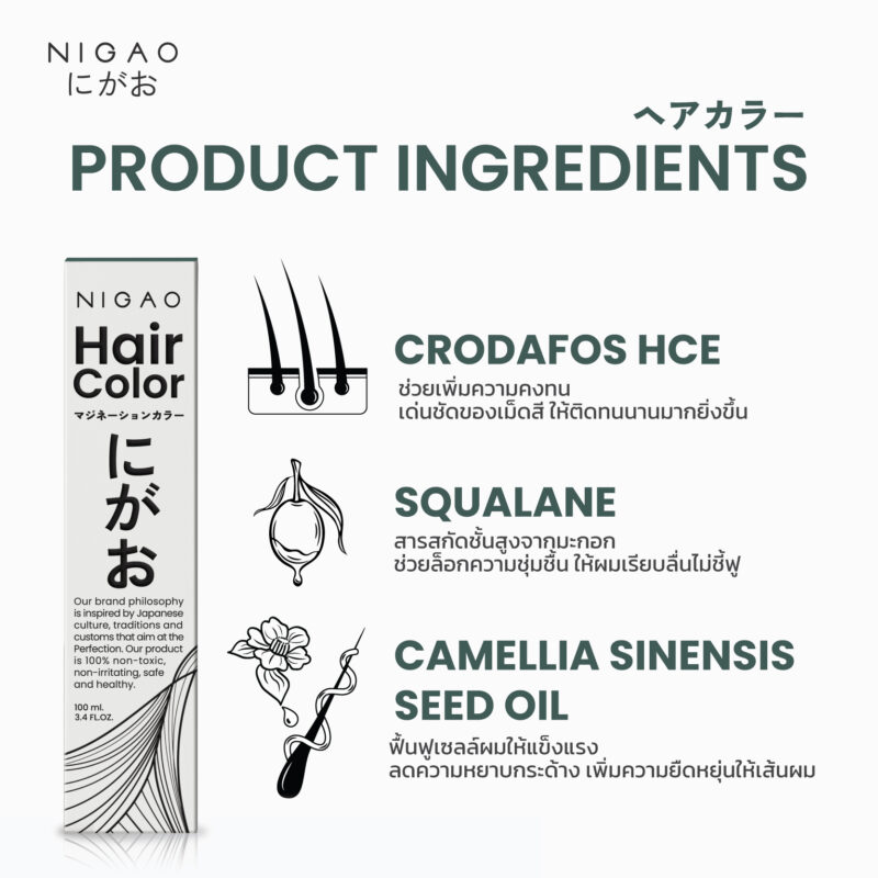 NIGAO Hair Color Natural - รวมโทนสีธรรมชาติ - Image 2