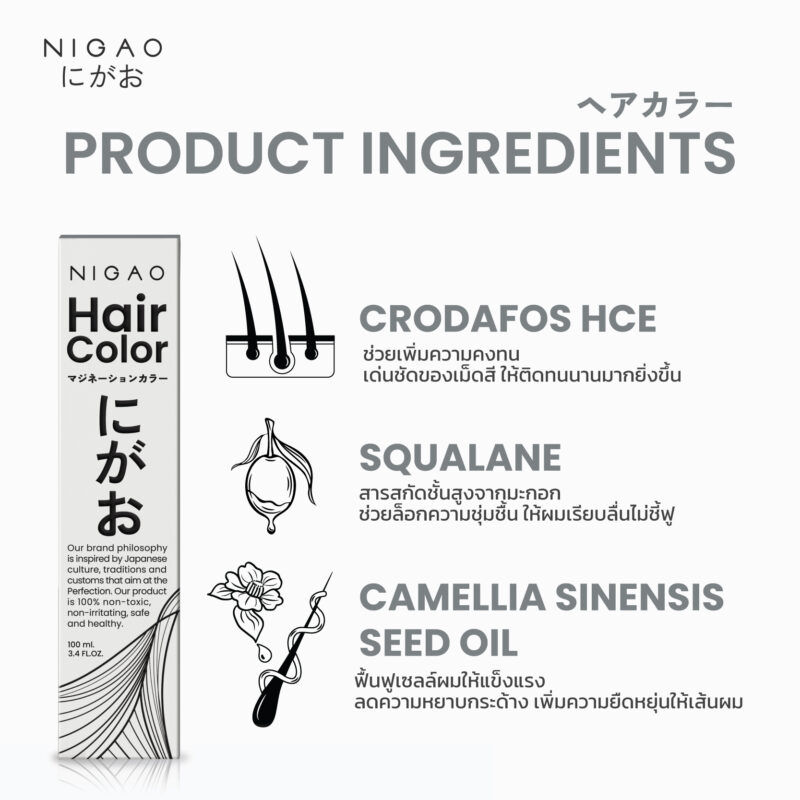 NIGAO Hair Color Silver Grey - รวมโทนสีเทา - Image 2