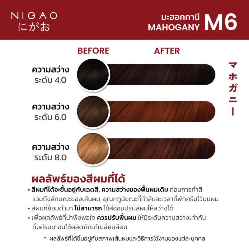NIGAO Hair Color Fashion - รวมโทนสีแฟชั่น - Image 6