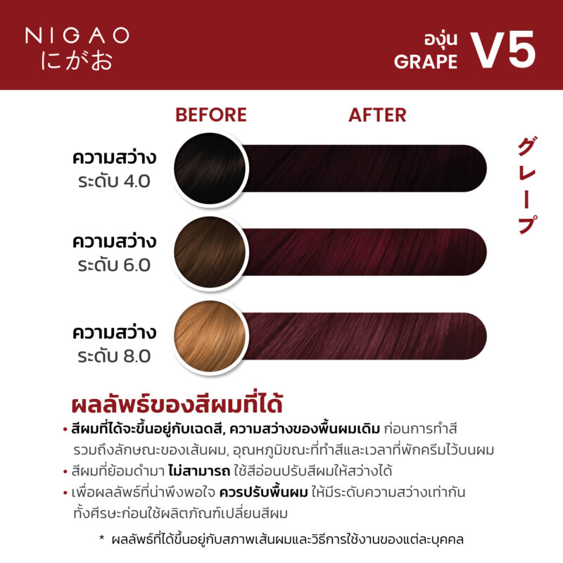 NIGAO Hair Color Fashion - รวมโทนสีแฟชั่น - Image 9