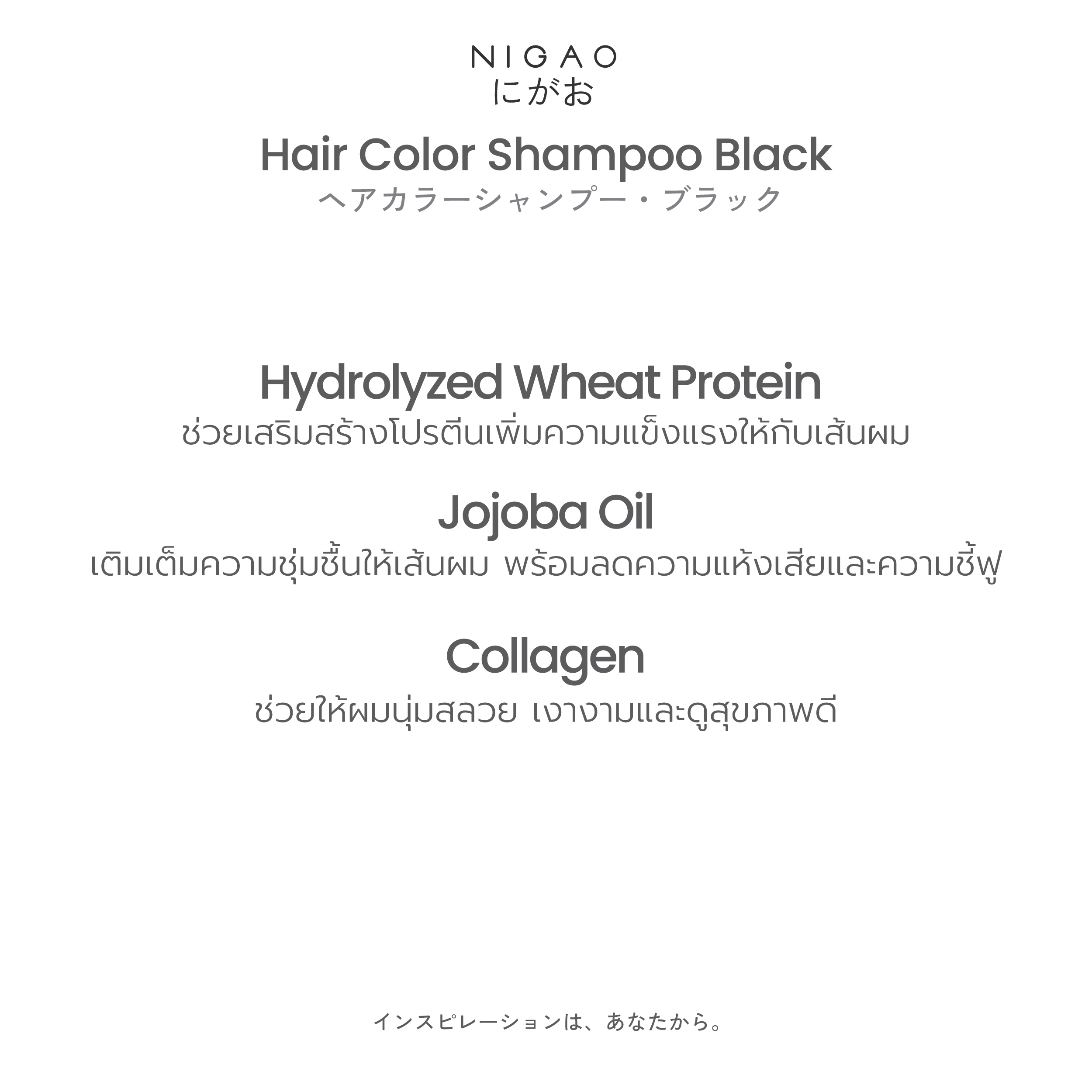 นิกาโอะ แชมพูเปลี่ยนสีผม ปิดผมขาว 30 มล. - Image 3