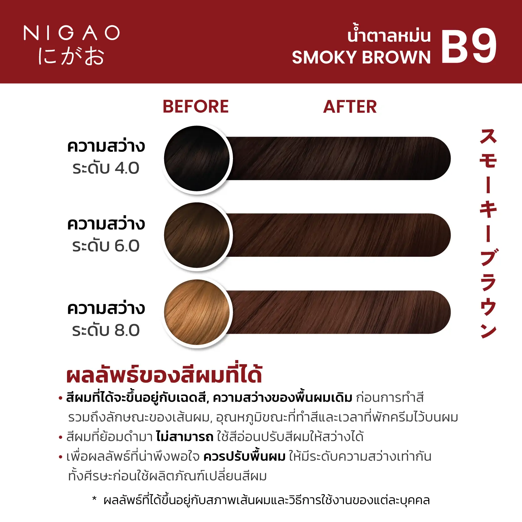B9 &ndash; นิกาโอะ สีย้อมผม น้ำตาลหม่น