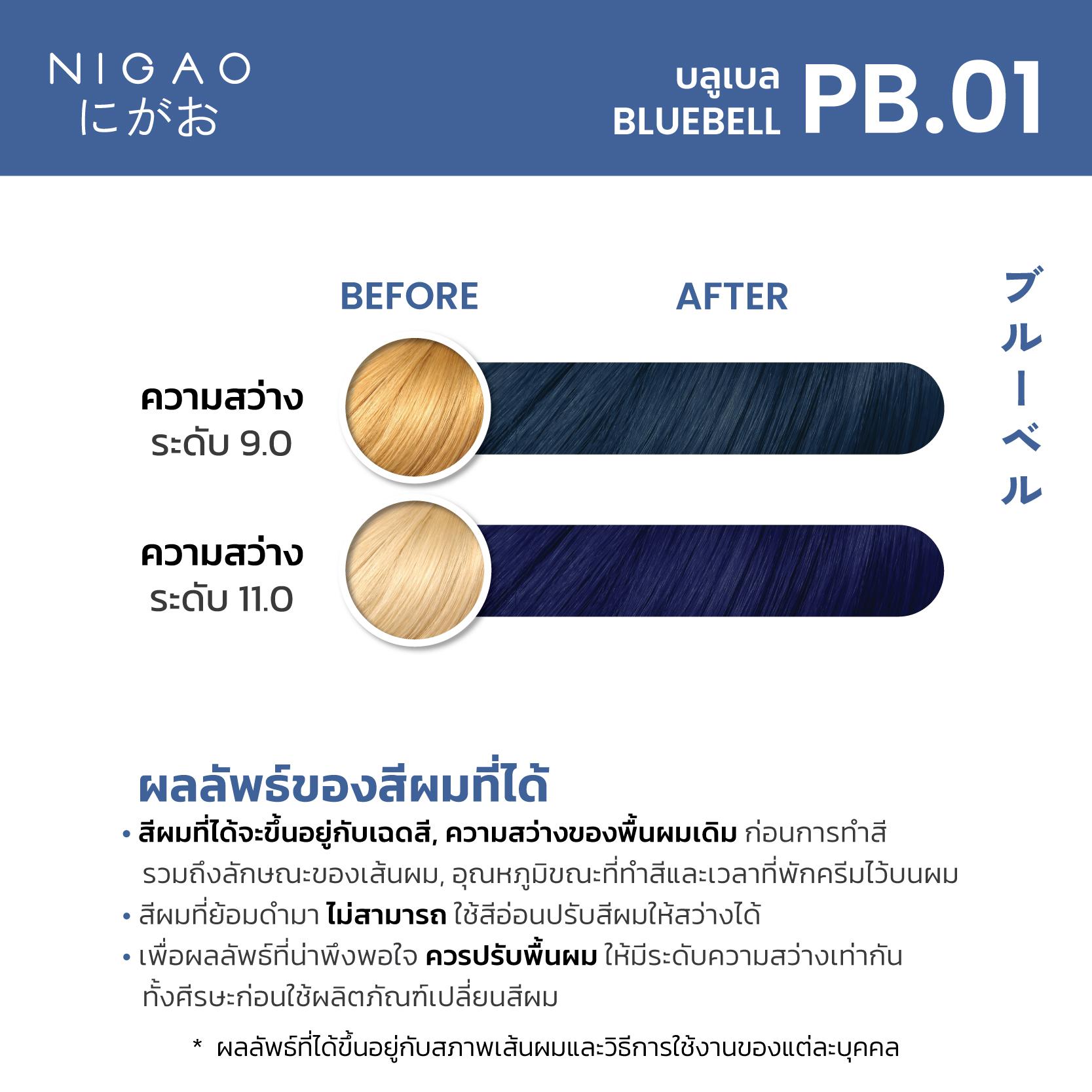 PB.01 – นิกาโอะ สีย้อมผม <br>บลูเบล
