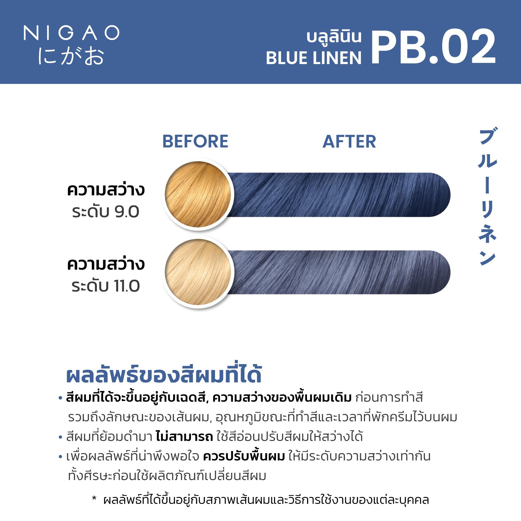 PB.02 – นิกาโอะ สีย้อมผม บลู ลินิน