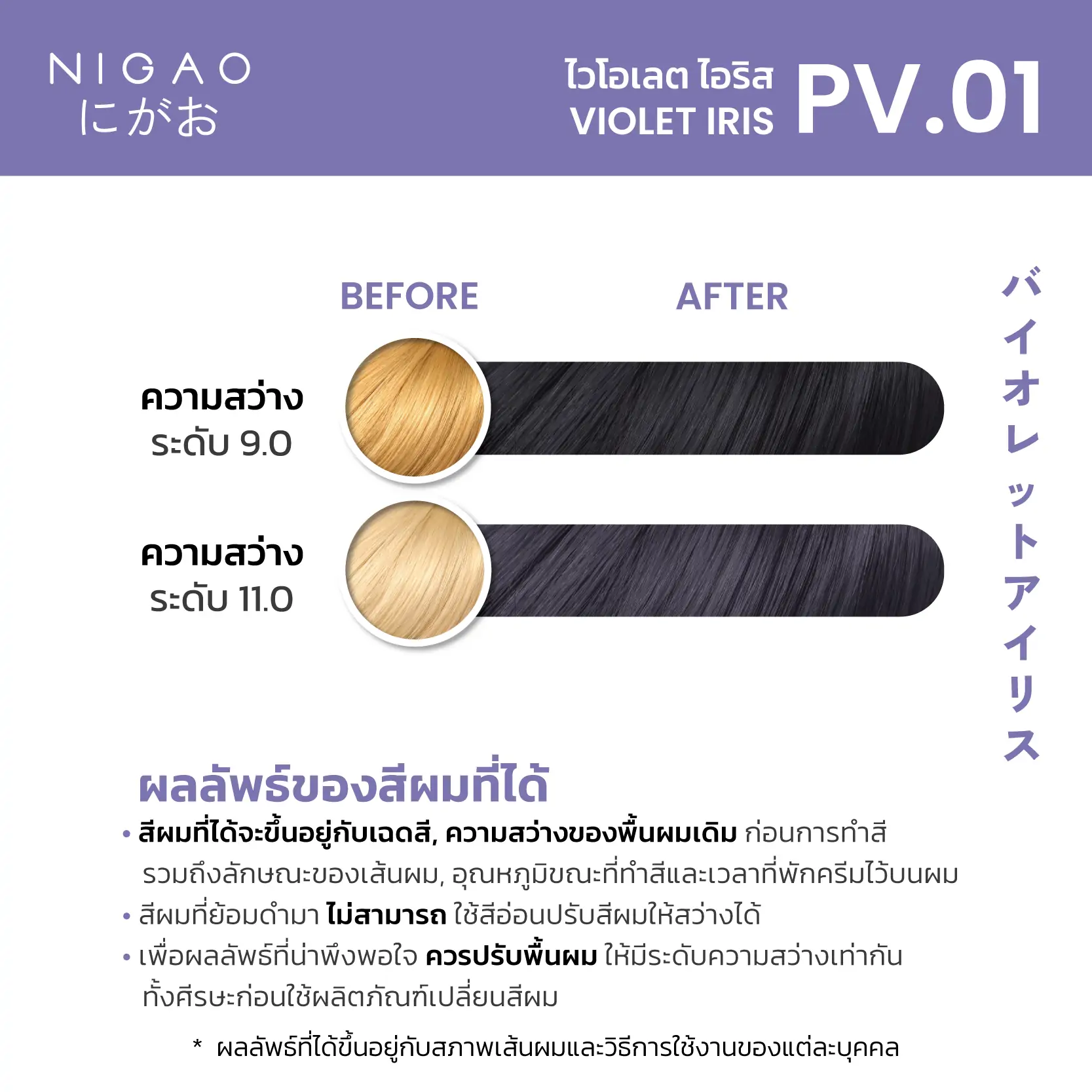 PV.01 – นิกาโอะ สีย้อมผม <br>ไวโอเลต ไอริส