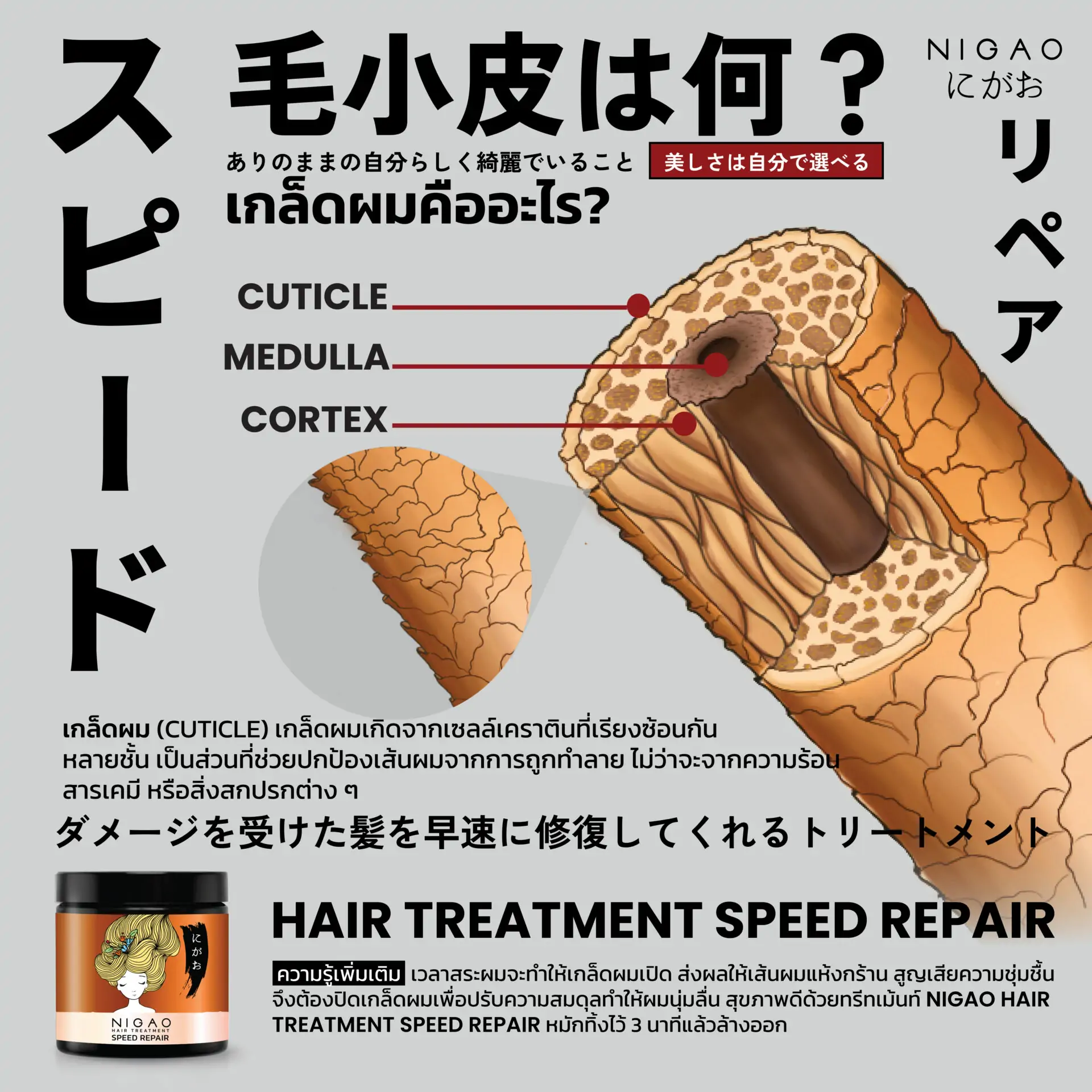 เกล็ดผมคืออะไร?