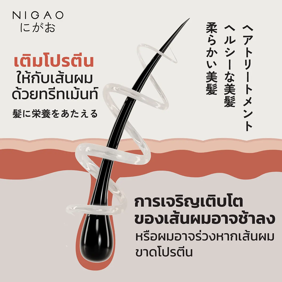 ภาพประกอบการโฆษณาผลิตภัณฑ์ทรีทเม้นท์บำรุงเส้นผม