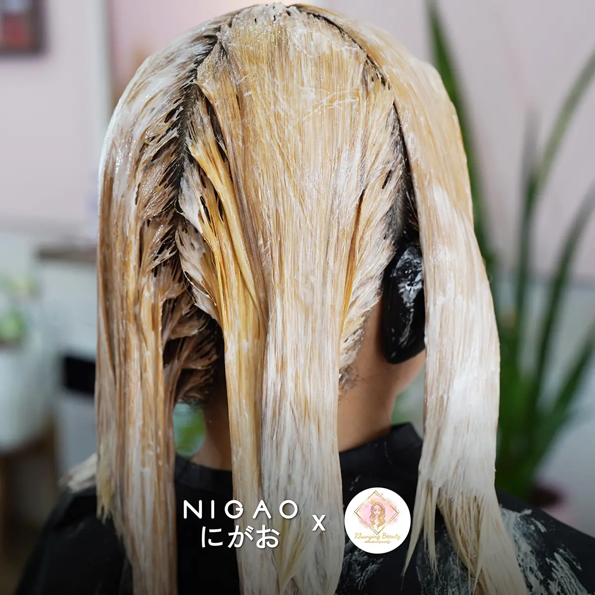 NIGAO x ร้านเสริมสวยคุณหญิง เชียงราย