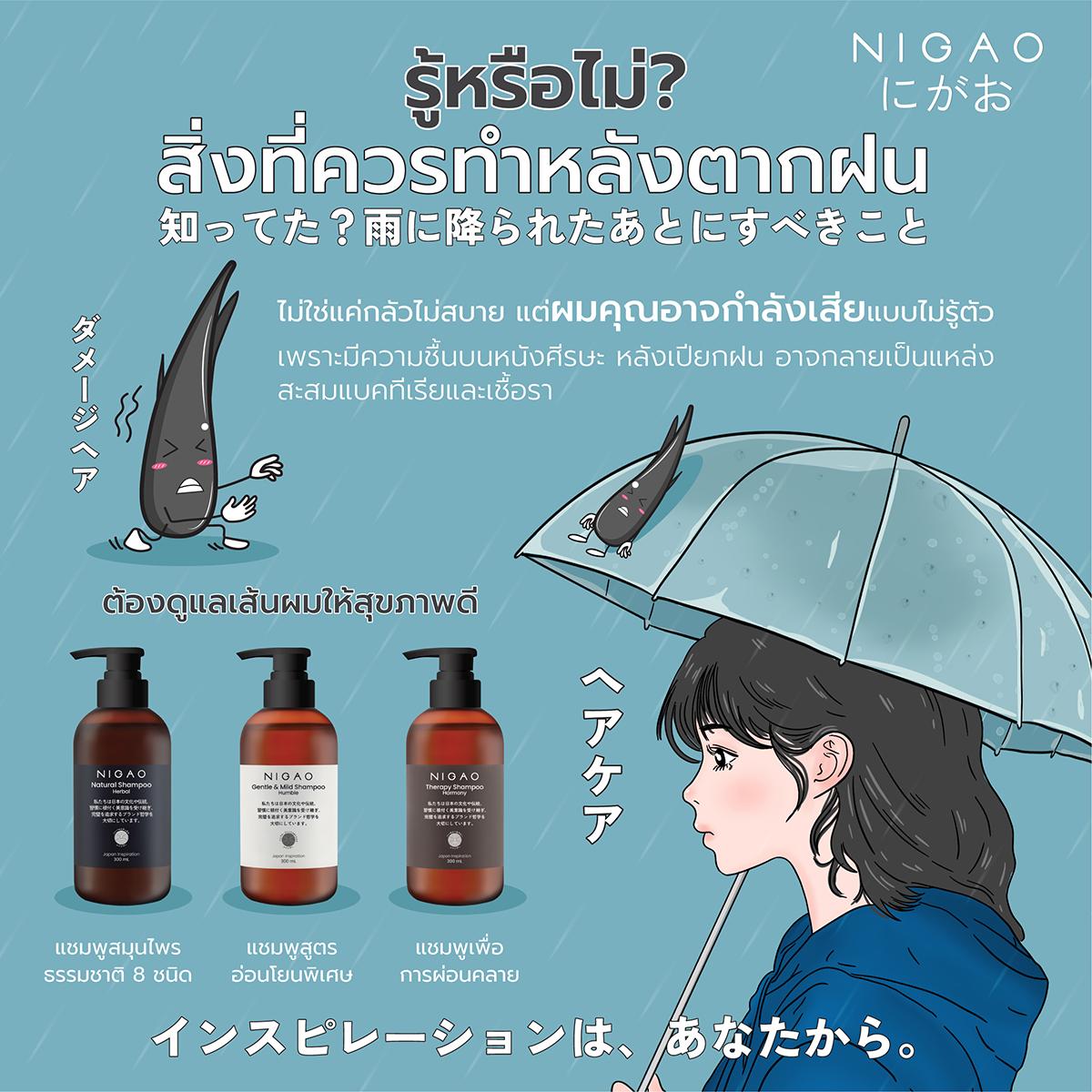 บำรุงผมหลังตากฝน อย่ามองข้ามเพราะสุขภาพเส้นผมก็สำคัญ