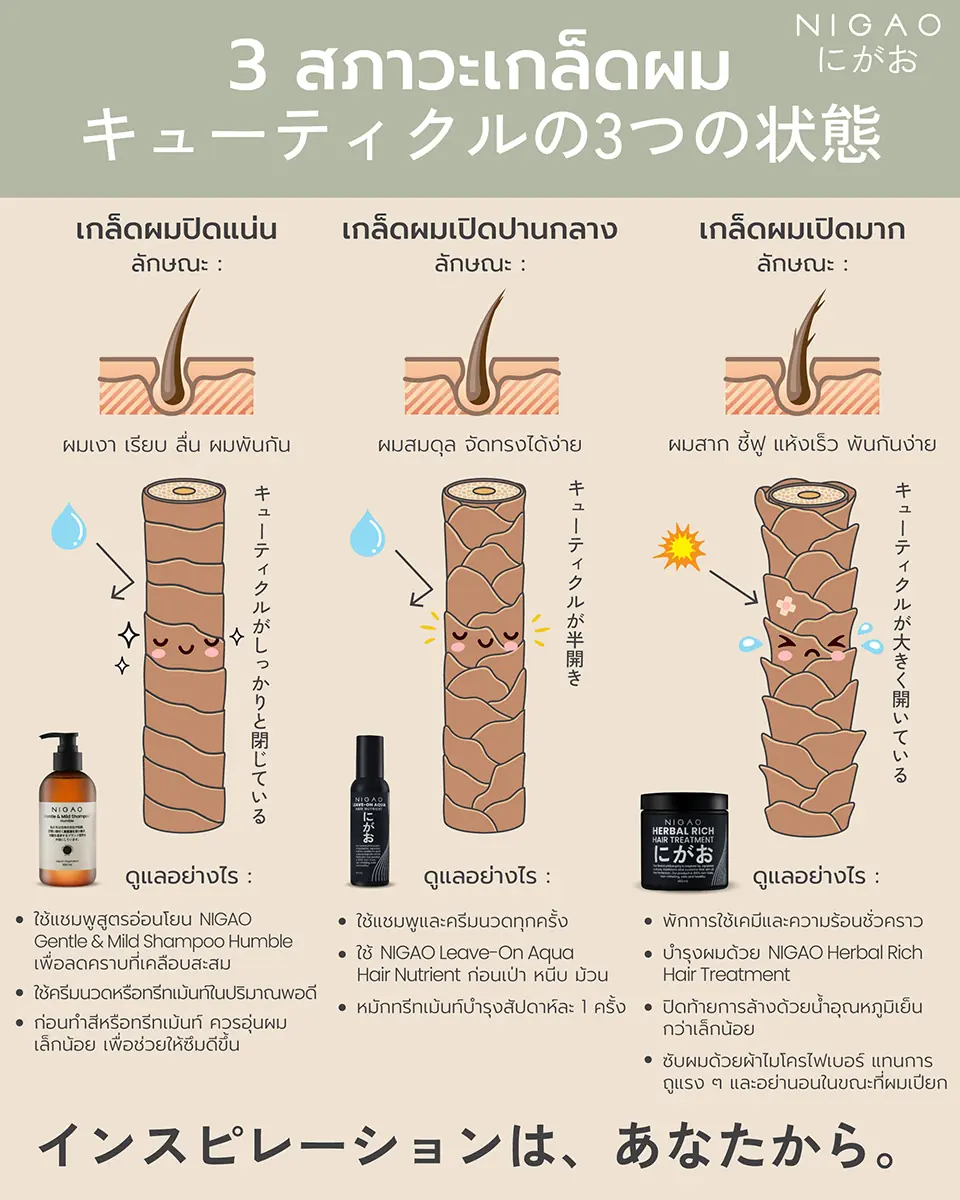 อินโฟกราฟิก NIGAO แสดง 3 สภาวะของเกล็ดผม ปิดแน่น ปานกลาง และเปิดมาก พร้อมคำแนะนำดูแลผมและผลิตภัณฑ์ที่เหมาะ เช่น NIGAO Shampoo, Leave-On และ Herbal Rich Treatment 4