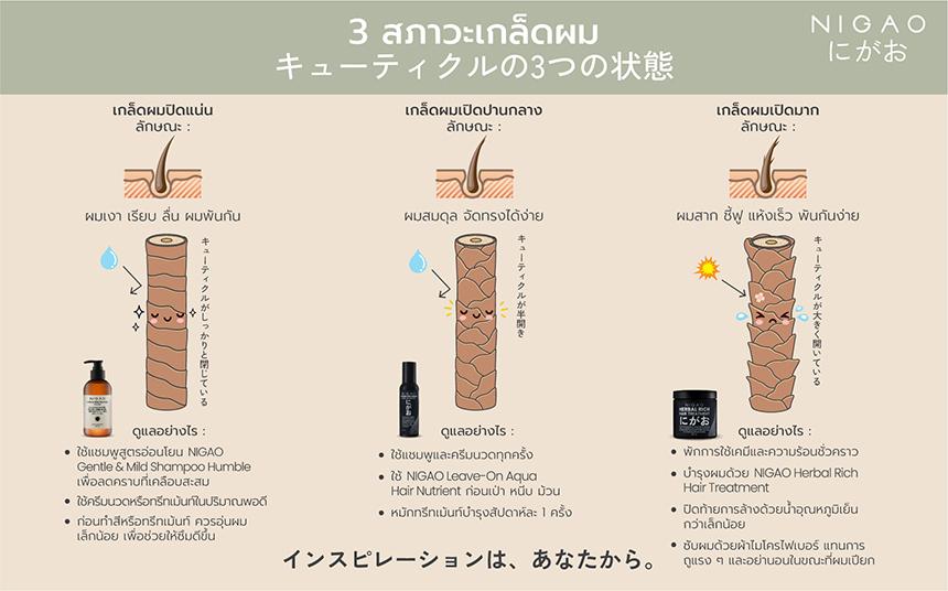 รู้จักสภาวะเกล็ดผม 3 แบบ พร้อมวิธีการดูแลรักษาให้ผมดูสวยและสุขภาพดี