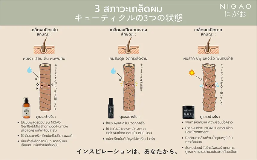 รู้จักสภาวะเกล็ดผม 3 แบบ พร้อมวิธีการดูแลรักษาให้ผมดูสวยและสุขภาพดี