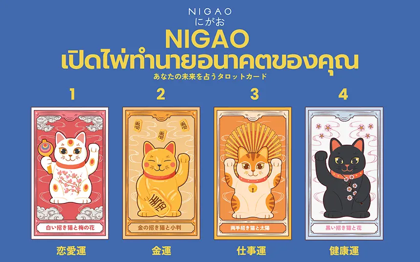 NIGAO เปิดไพ่แมวกวัก ทำนายรัก งาน เงิน สุขภาพ