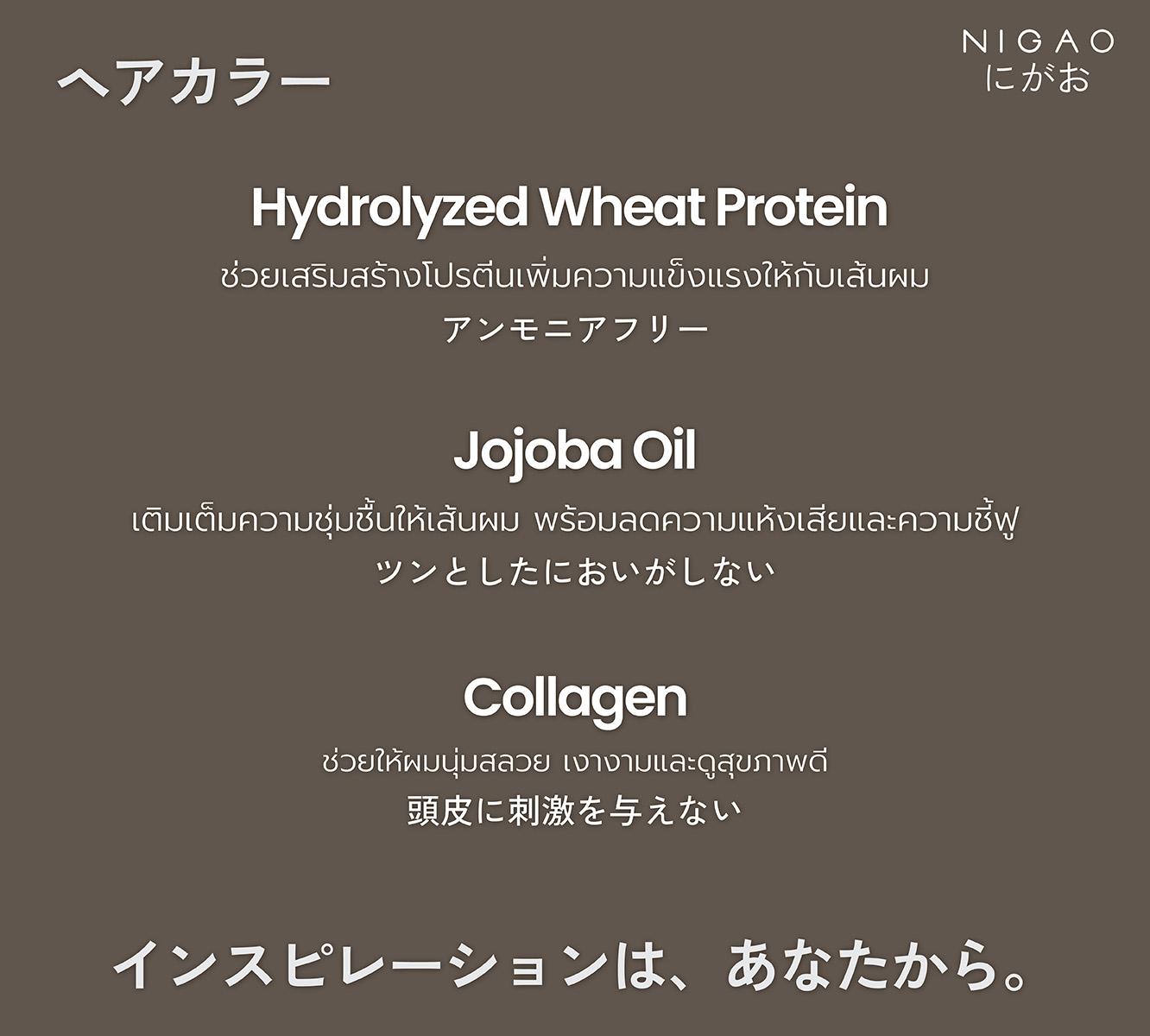 NIGAO Hair Color Shampoo แชมพูปิดผมขาว บำรุงล้ำลึก คืนความอ่อนเยาว์ให้เส้นผม