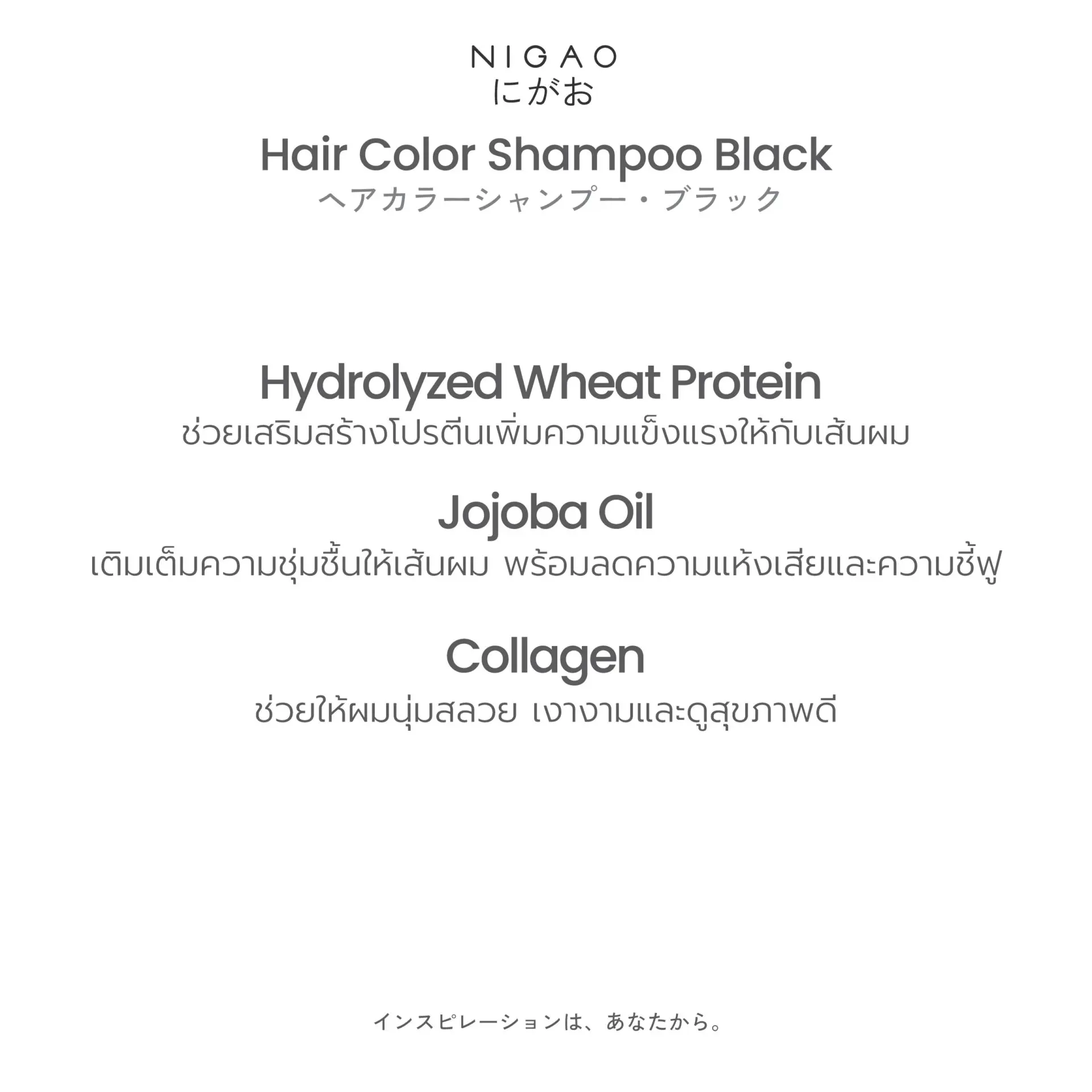 นิกาโอะ แชมพูเปลี่ยนสีผม ปิดผมขาว 30 มล.