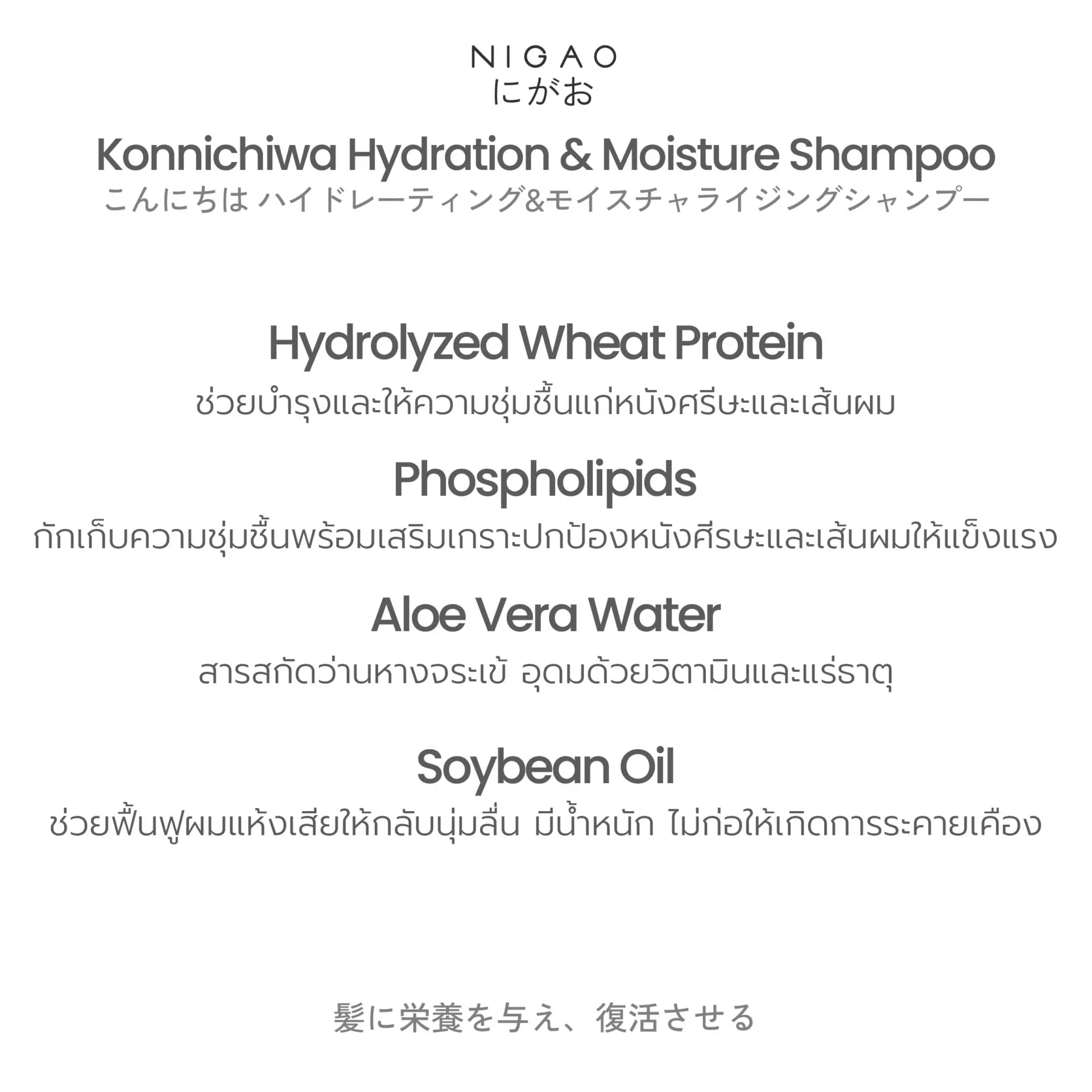 นิกาโอะ คอนนิจิวะ ไฮเดรชั่น แอนด์ มอยซ์เจอร์ แชมพู 200 มล.