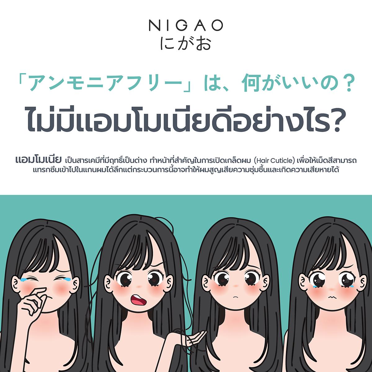 NIGAO Hair Color ครีมเปลี่ยนสีผมไม่มีแอมโมเนีย กลิ่นไม่ฉุน