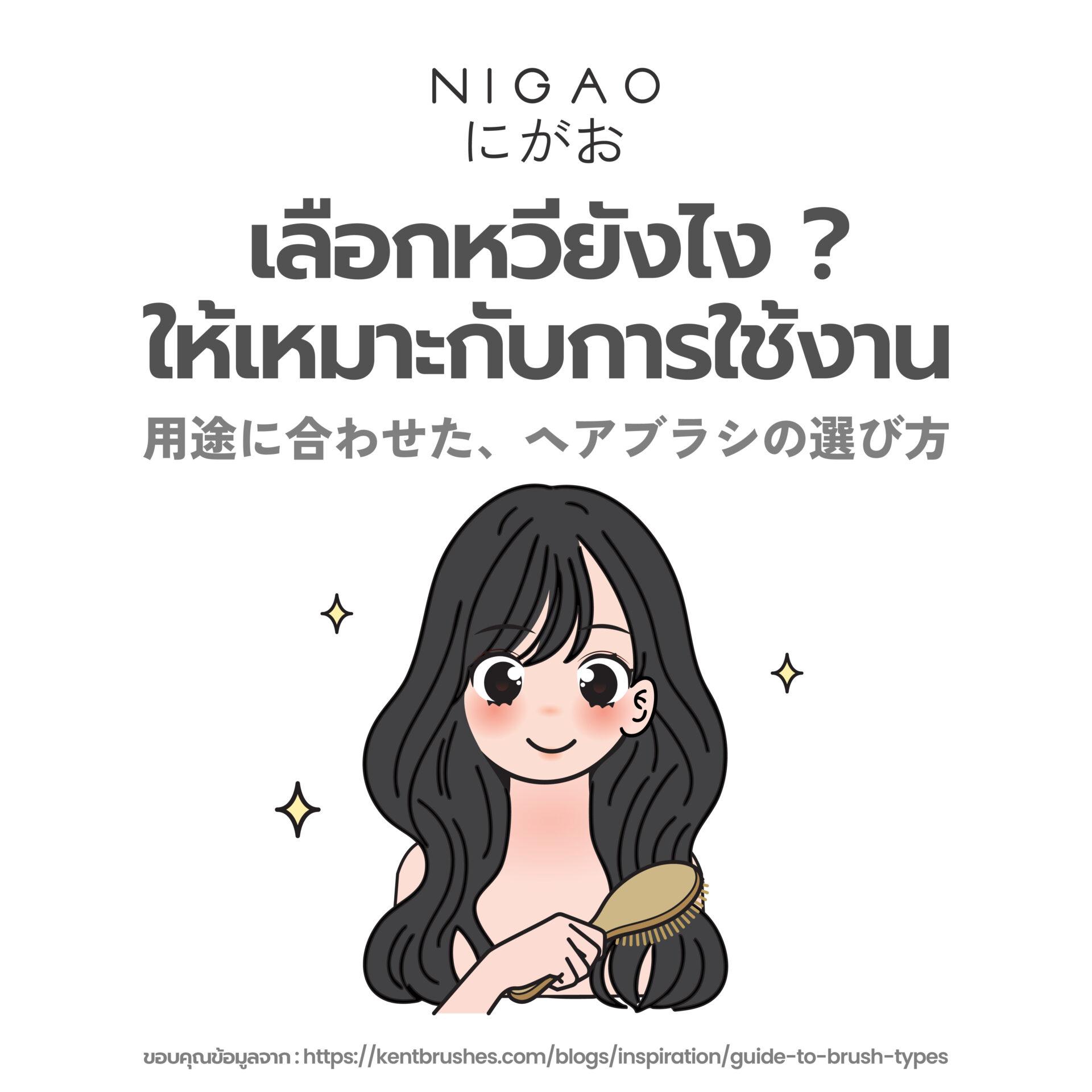 เลือกหวียังไงให้เหมาะกับเส้นผม ลดผมขาดหลุดร่วง