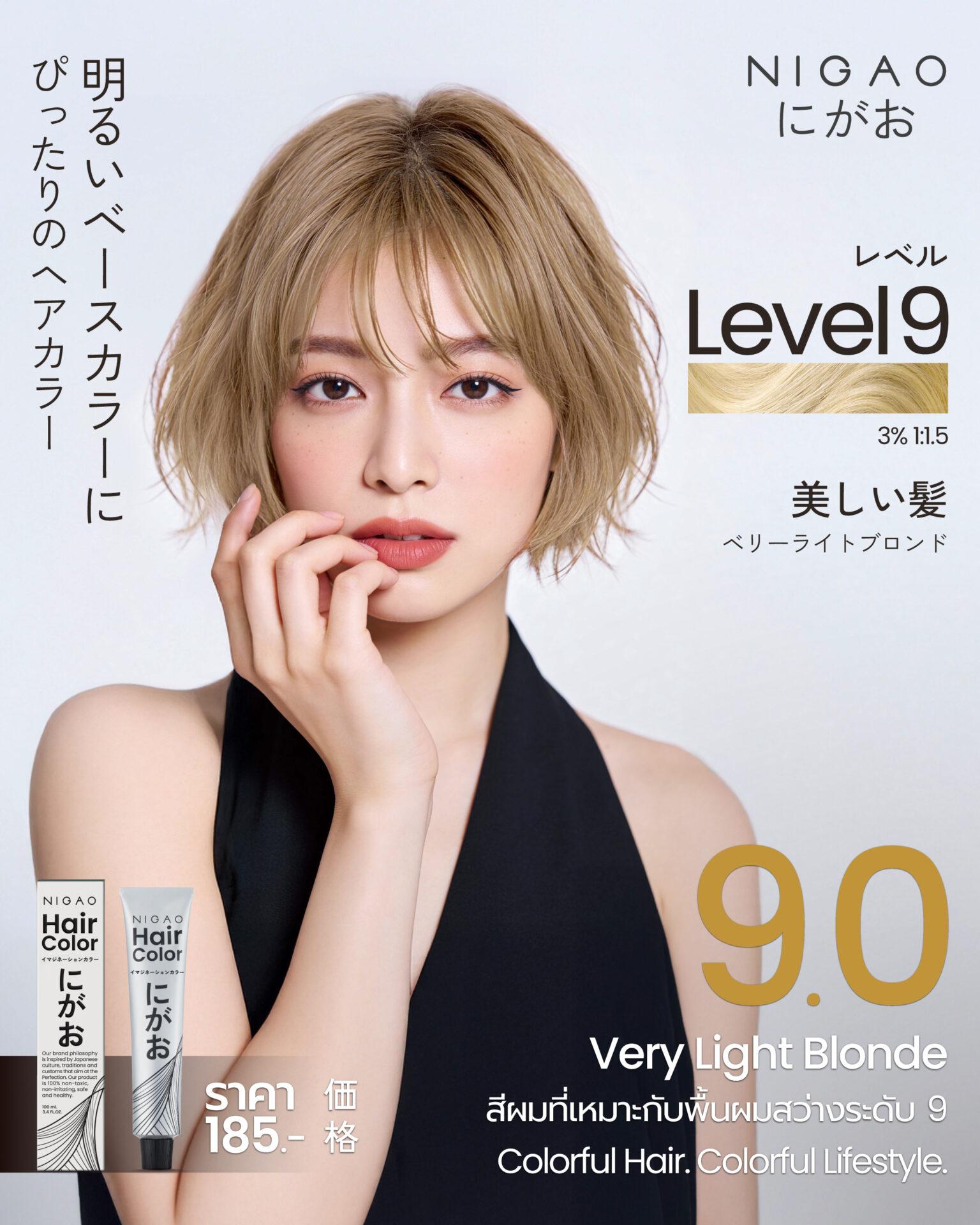 ตัวอย่างสีผมที่เหมาะกับพื้นผมสว่างระดับ 9