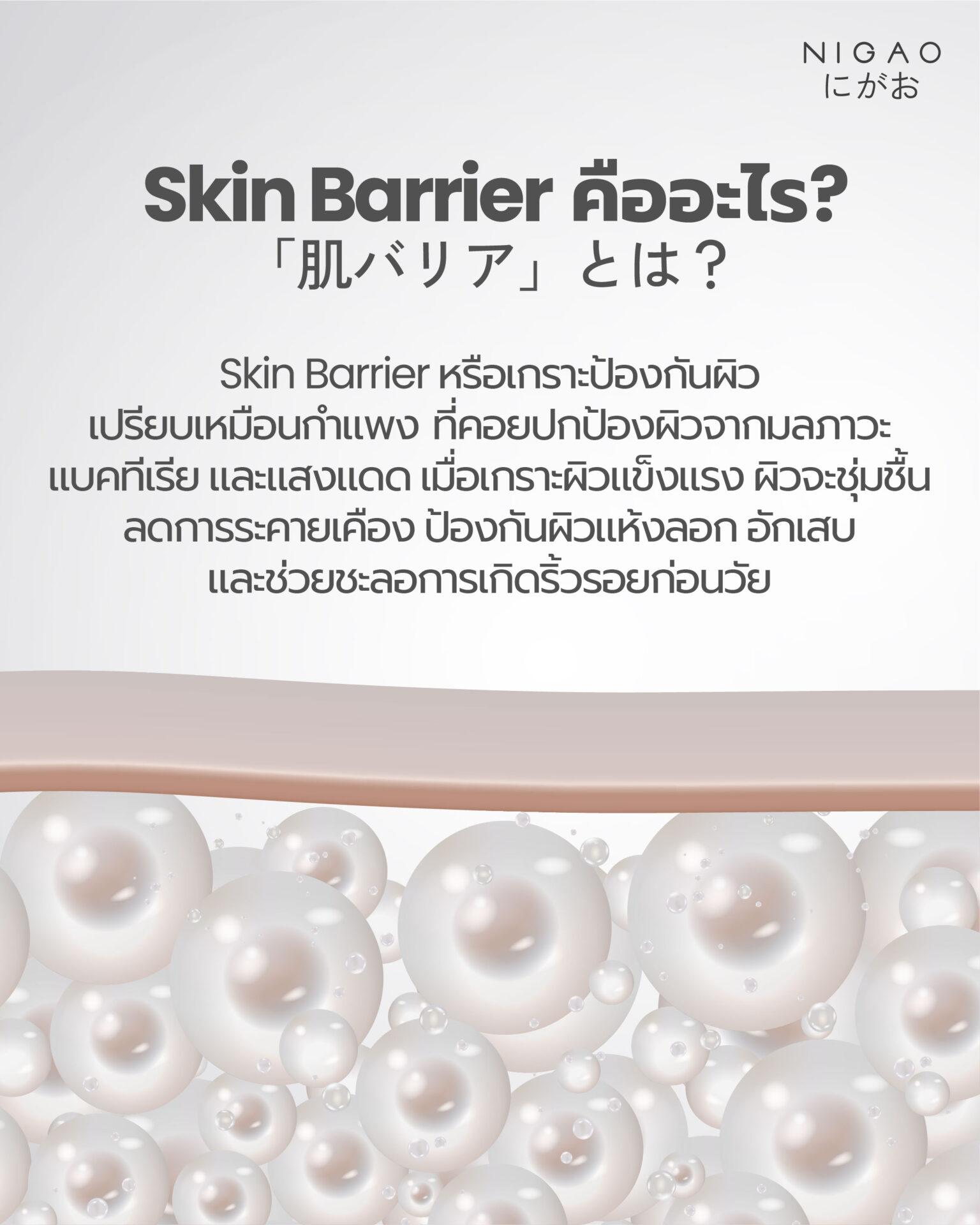 Skin Barrier คืออะไร? วิธีดูแลเกราะป้องกันผิว