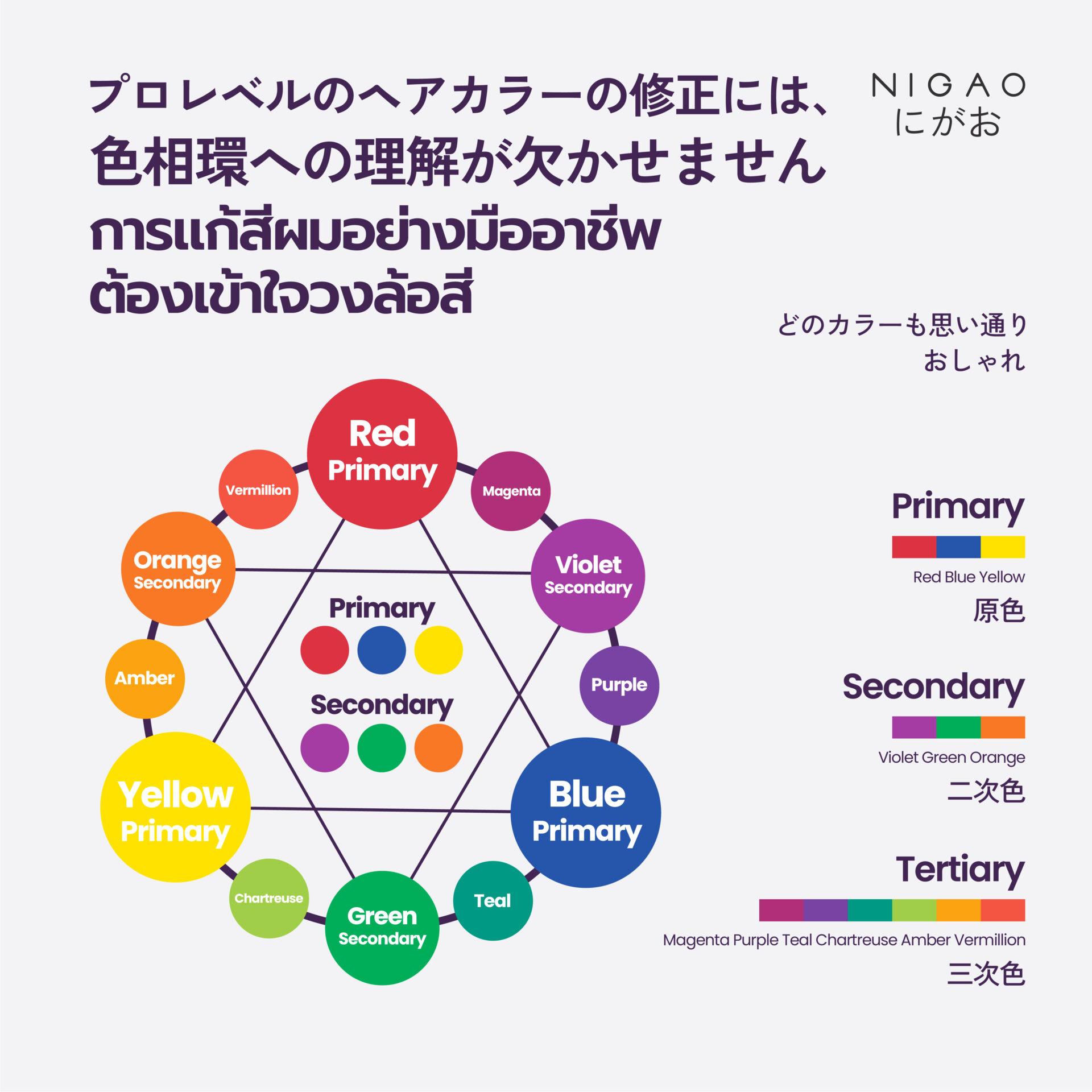 แก้ผมติดเหลืองด้วยสีตรงข้าม