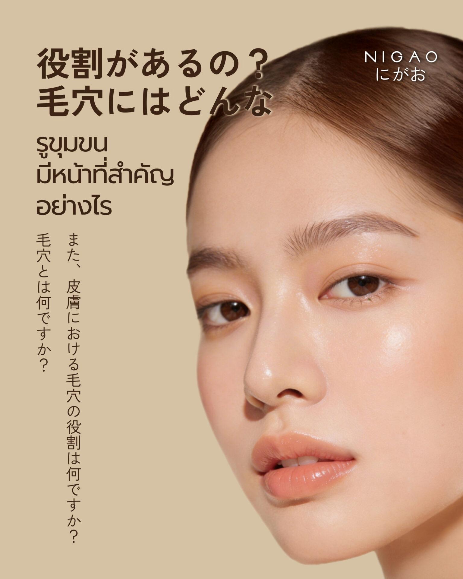 อินโฟกราฟิกอธิบายหน้าที่ของรูขุมขนในผิวหนัง