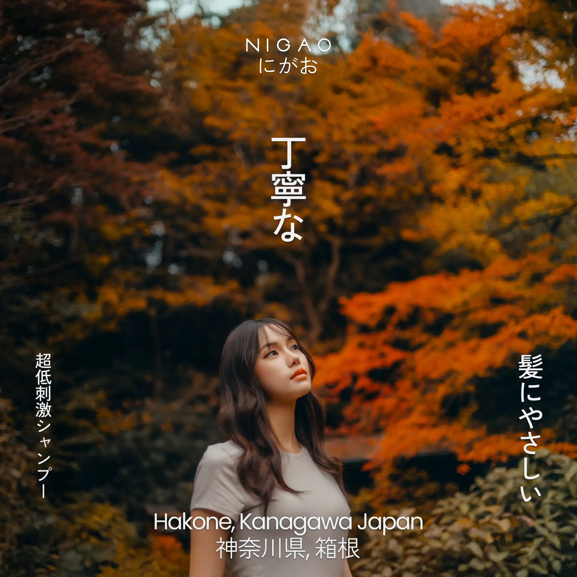 Torii Hakone กับเบื้องหลังภาพ Japan Inspired