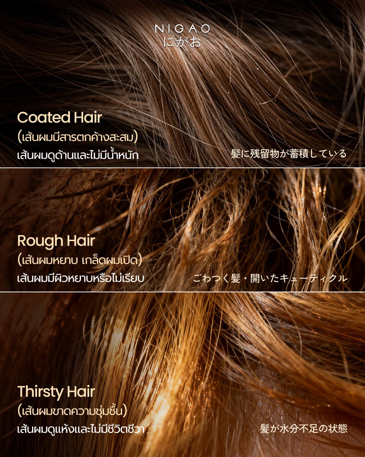NIGAO Anti Hair Loss Herbal Serum & Shampoo ดูแลปัญหาผมขาดหลุดร่วงอย่างล้ำลึก