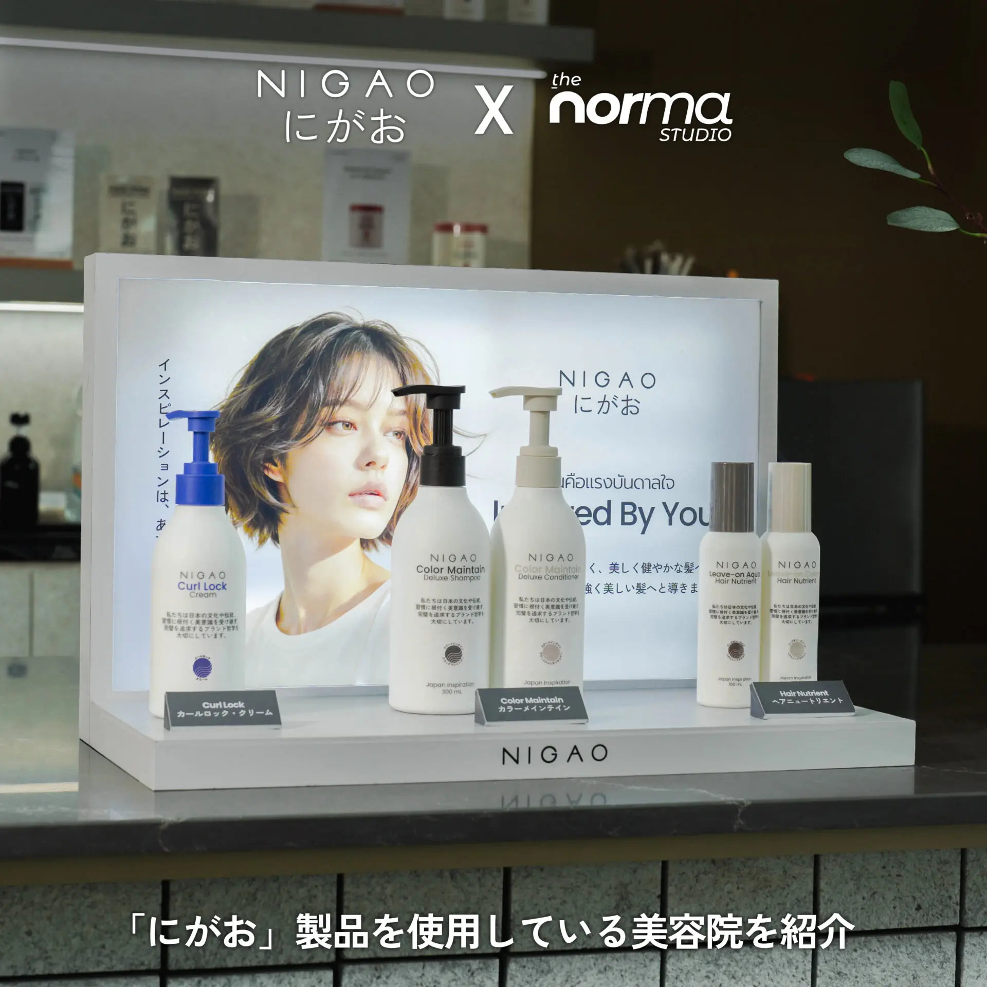 NIGAO x The Norma Studio สีผมสวยมีมิติ