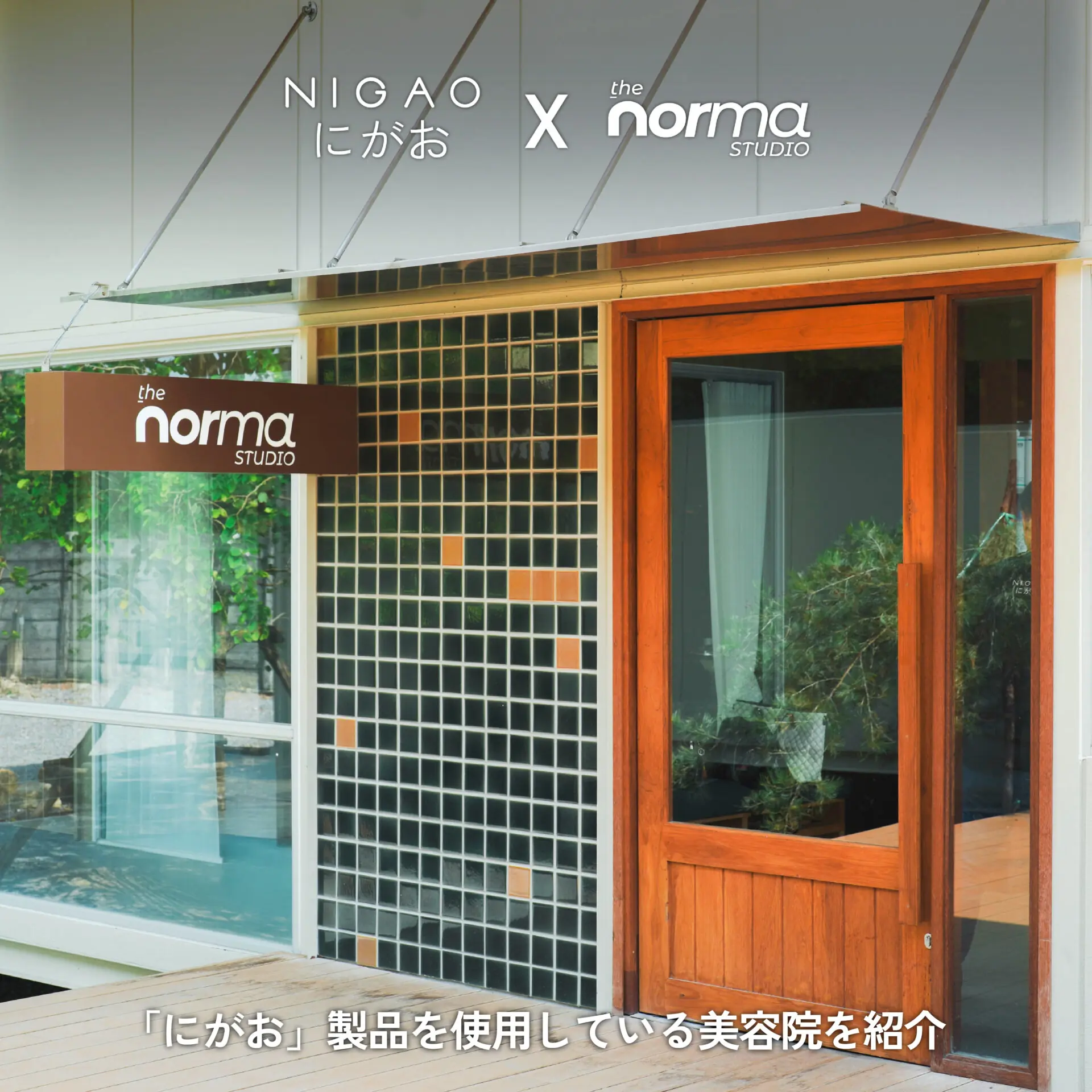 NIGAO x The Norma Studio สีผมสวยมีมิติ