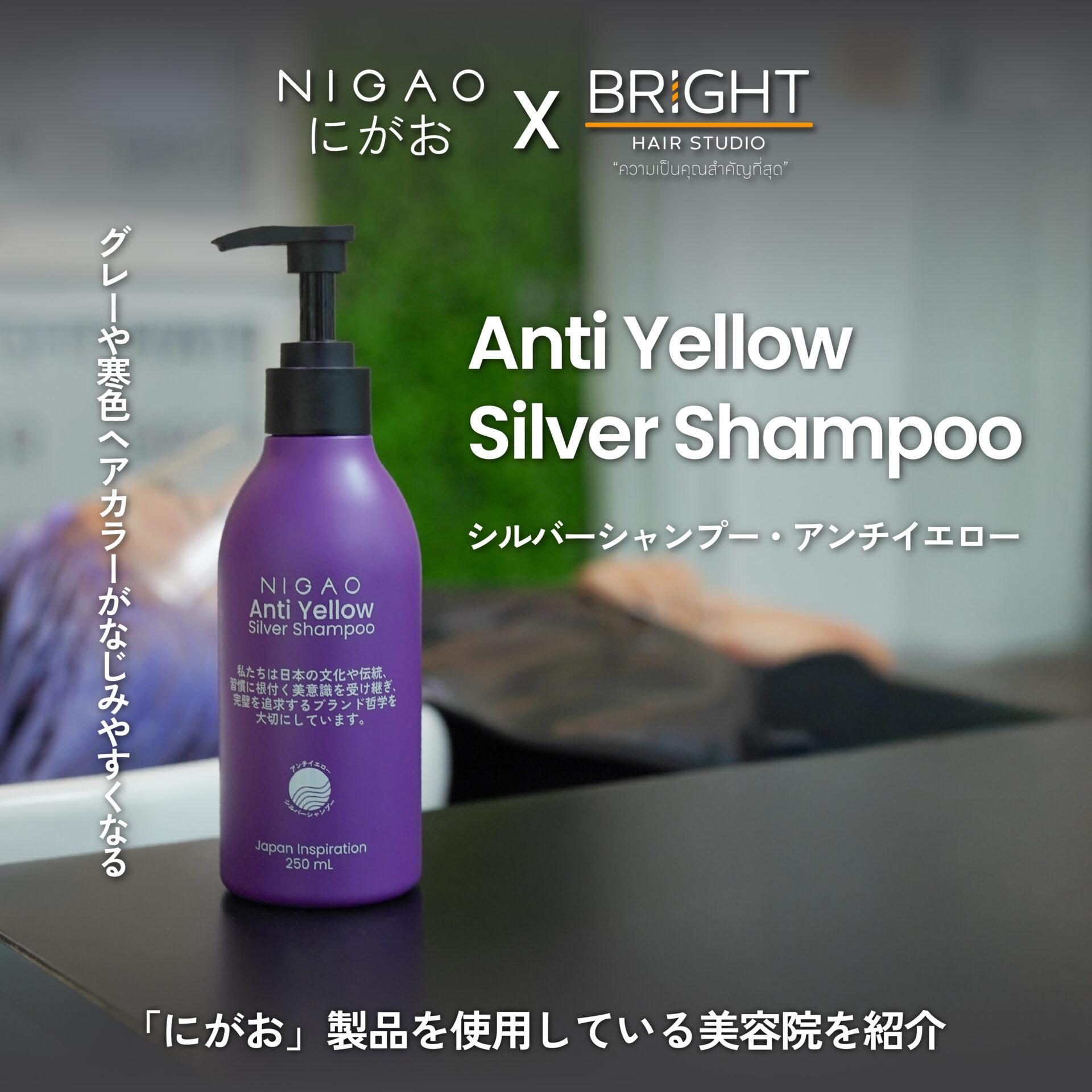 NIGAO x Bright Hair Studio สีผม Two Tone & Inner