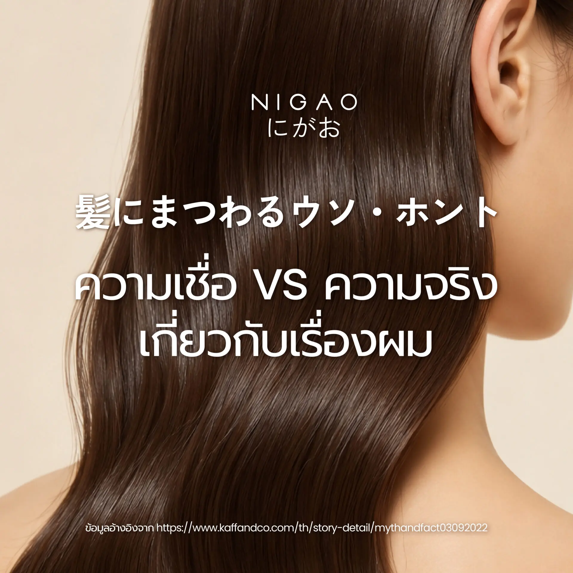 ความเชื่อผิด ๆ เกี่ยวกับการดูแลเส้นผม
