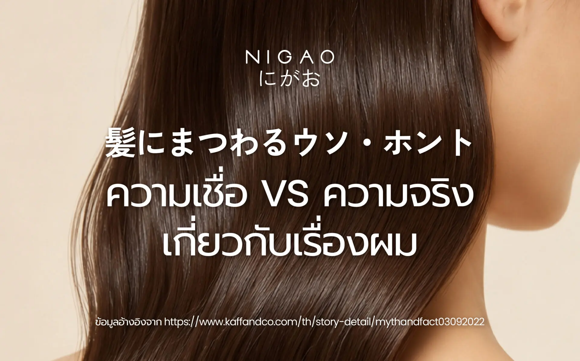 ความเชื่อผิด ๆ เกี่ยวกับการดูแลเส้นผม