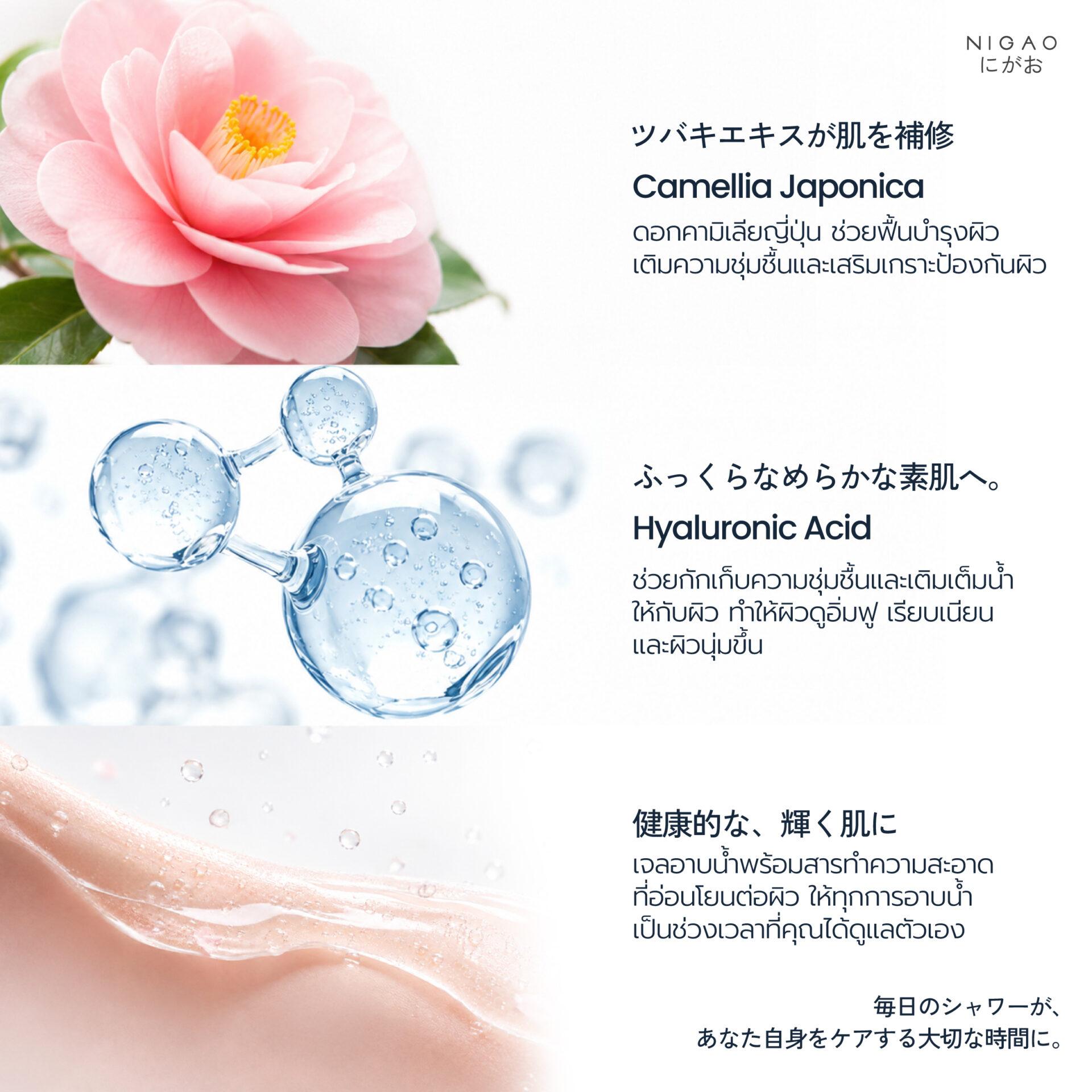 NIGAO Oil in Gel เจลอาบน้ำผิวชุ่มชื้นอิ่มฟู