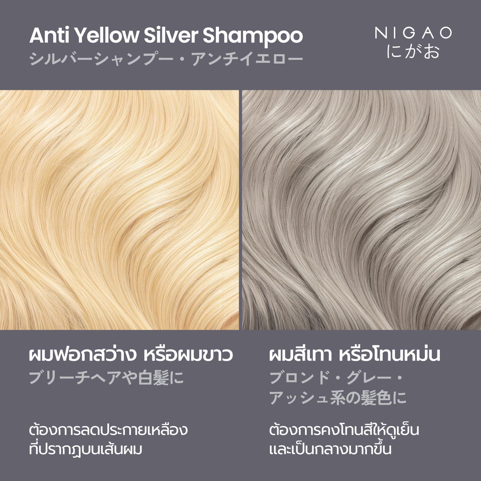 ผมแบบไหน ควรใช้แชมพูม่วง?