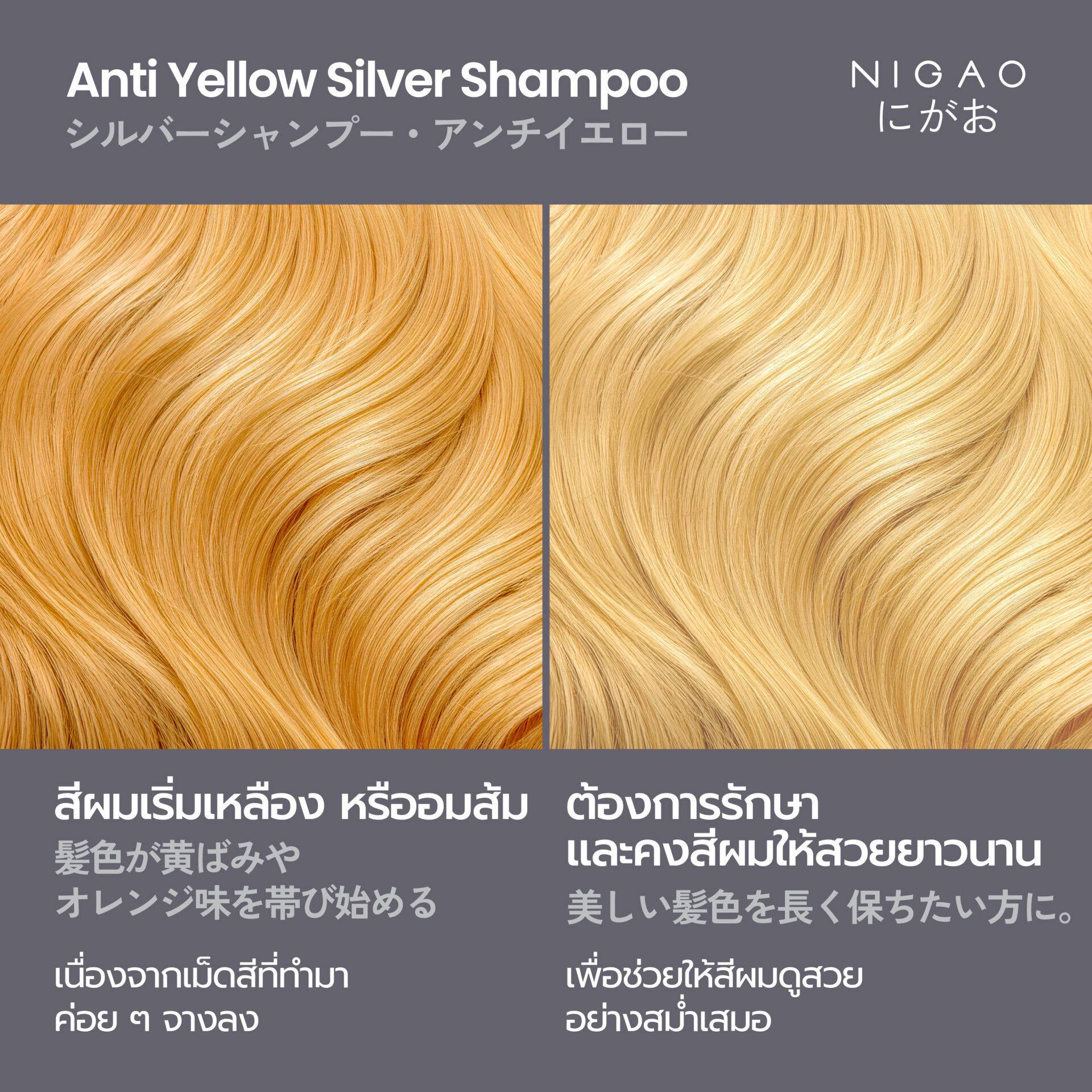 ผมแบบไหน ควรใช้แชมพูม่วง?