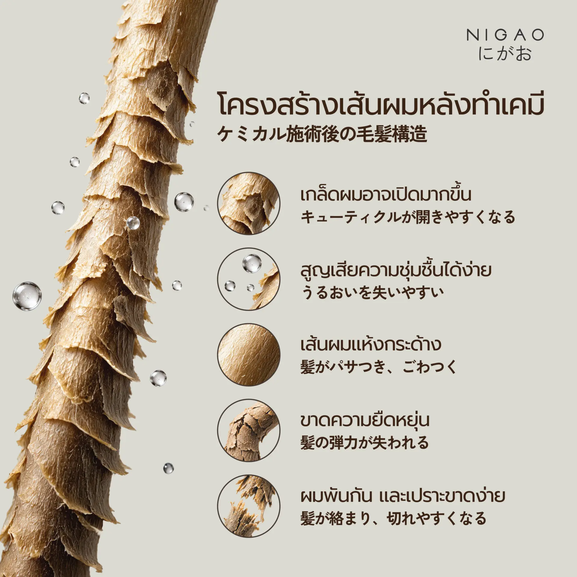 คืนความสมดุลให้เส้นผม หลังผ่านการทำเคมี