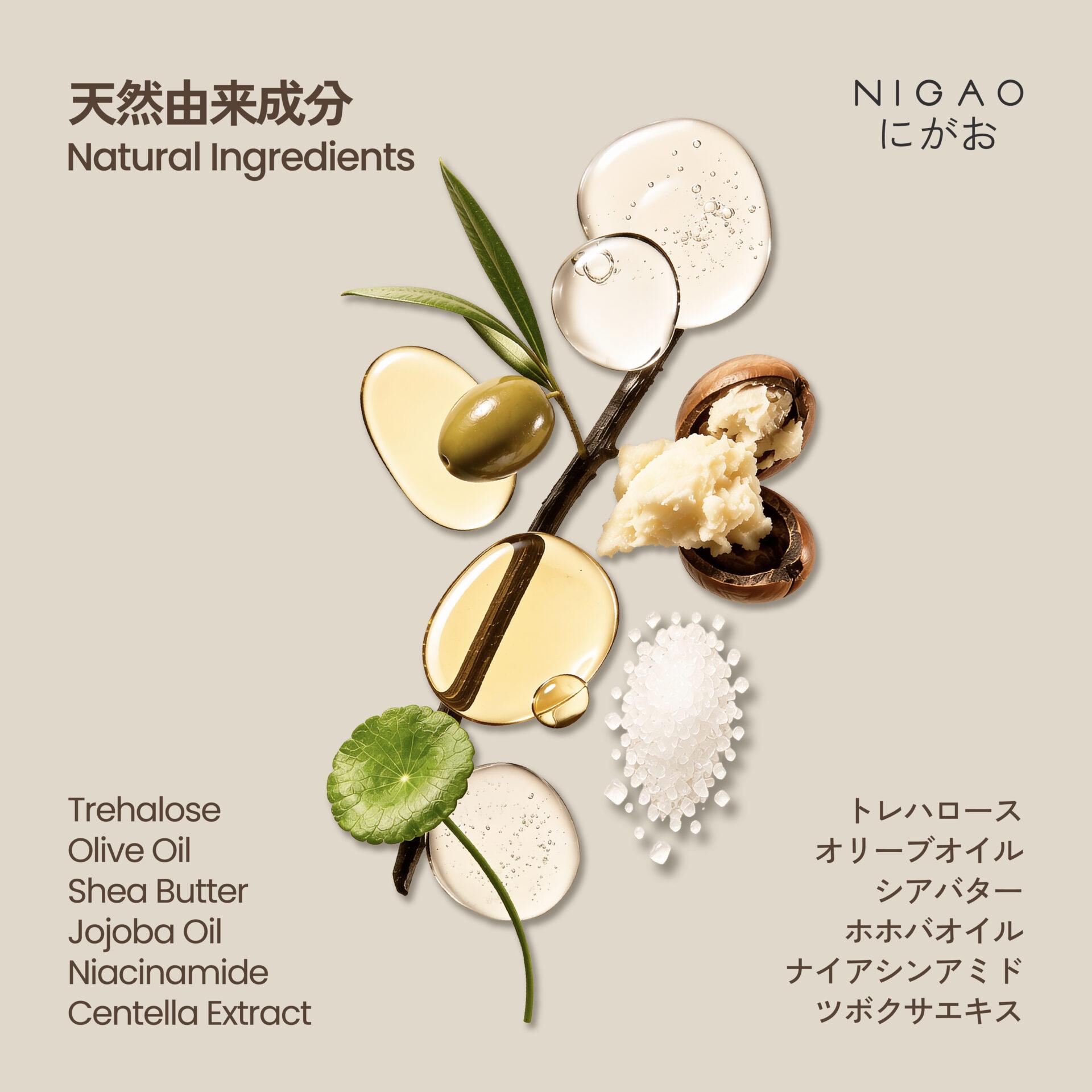 NIGAO PAPAMAMA Body Lotion โลชั่นสำหรับผิวแห้ง