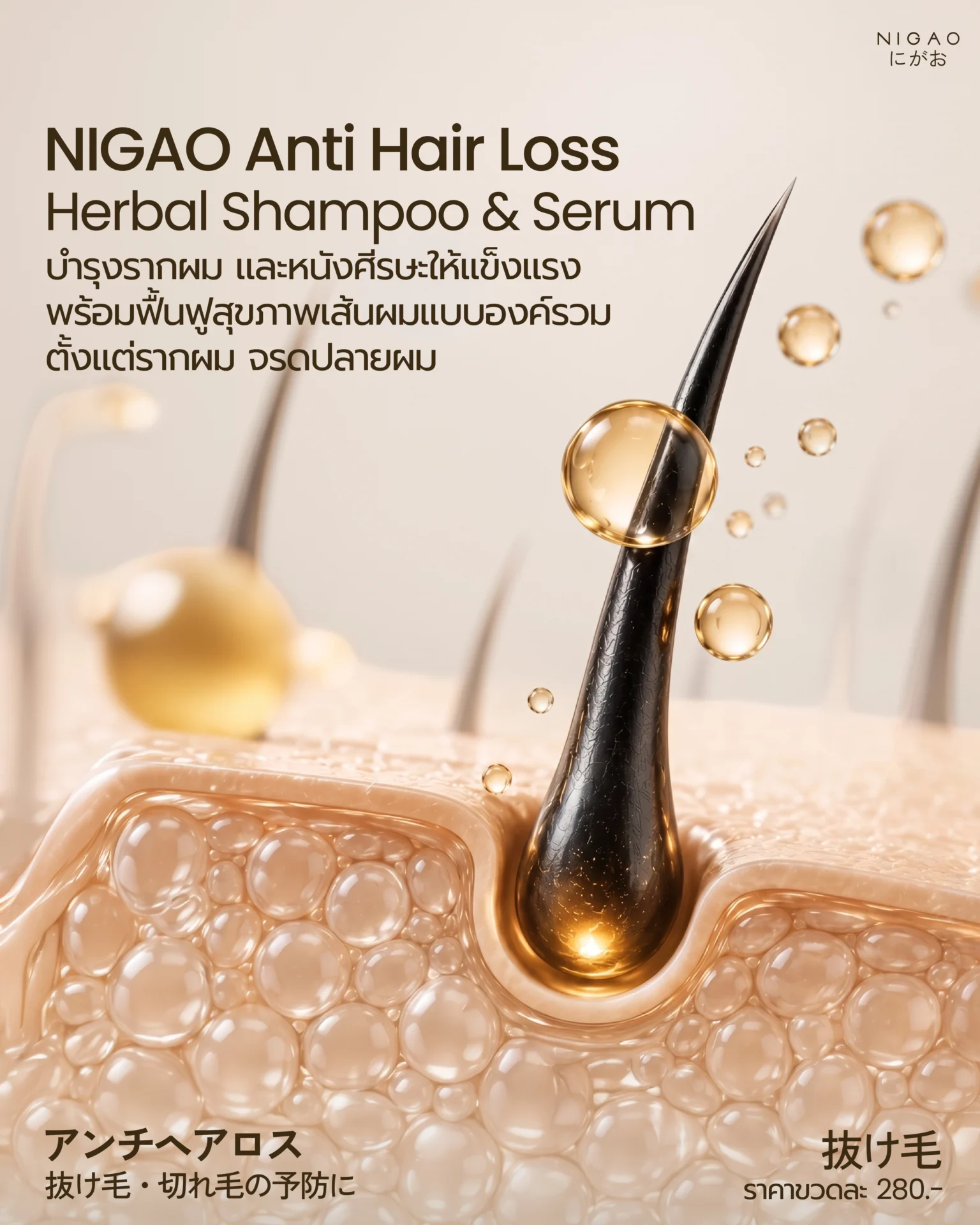 NIGAO Anti Hair Loss ดูแลผมร่วงด้วยสมุนไพรธรรมชาติ