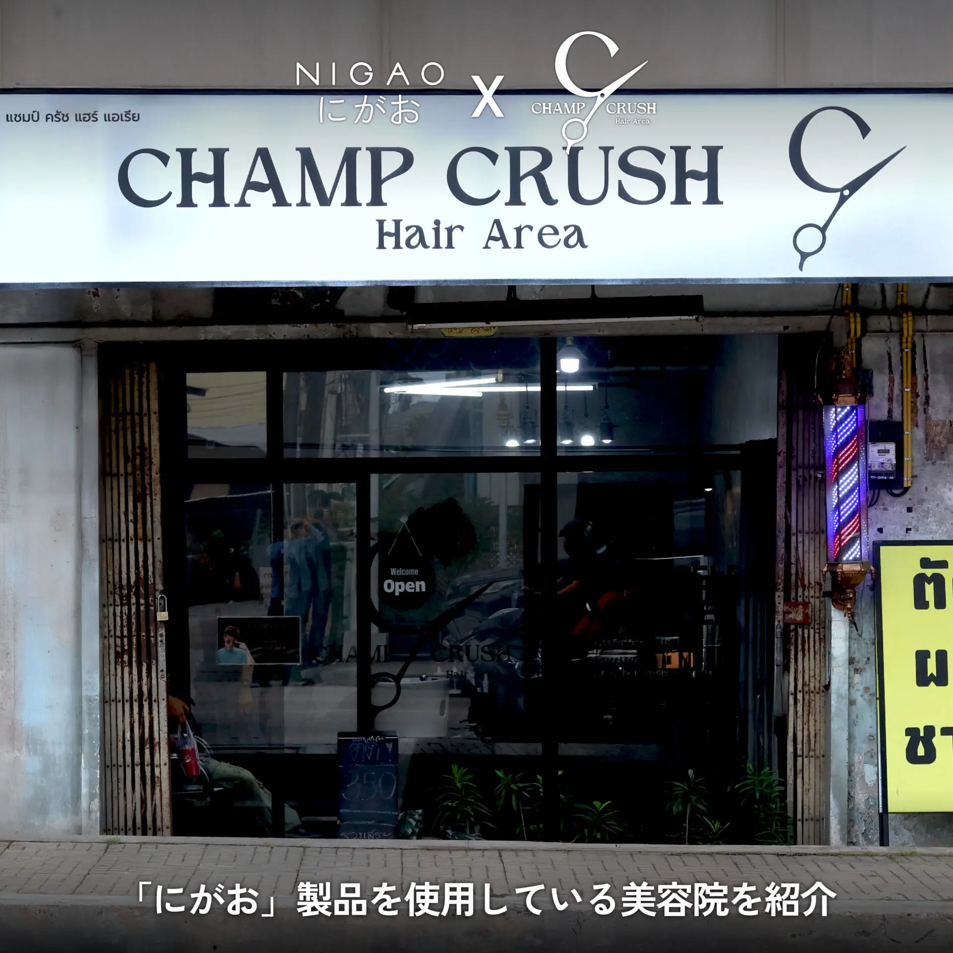 NIGAO x Champ Crush Hair ดัดผม Curly & Volume Perm