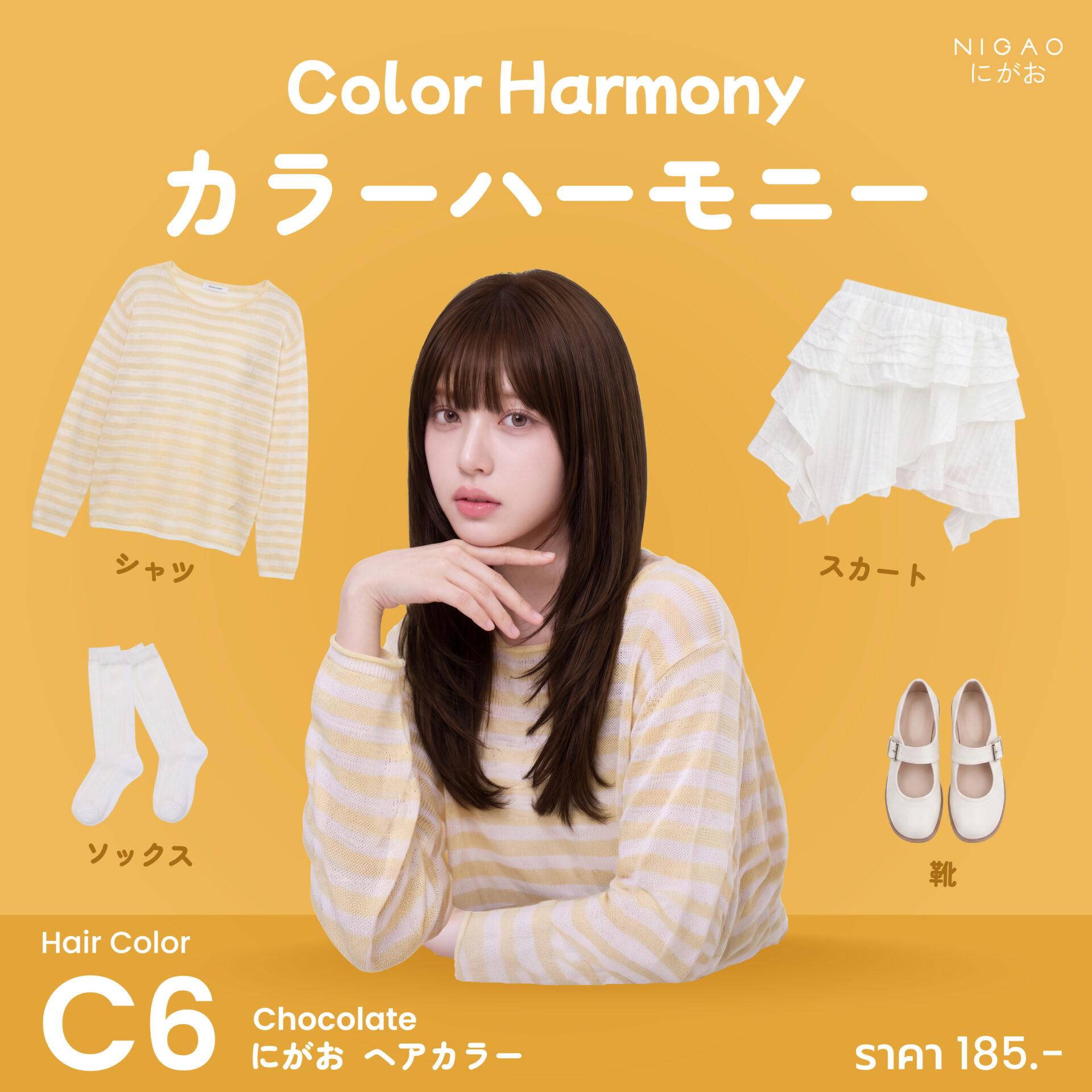 Color Harmony เลือกชุดให้เข้ากับสีผม NIGAO Hair Color