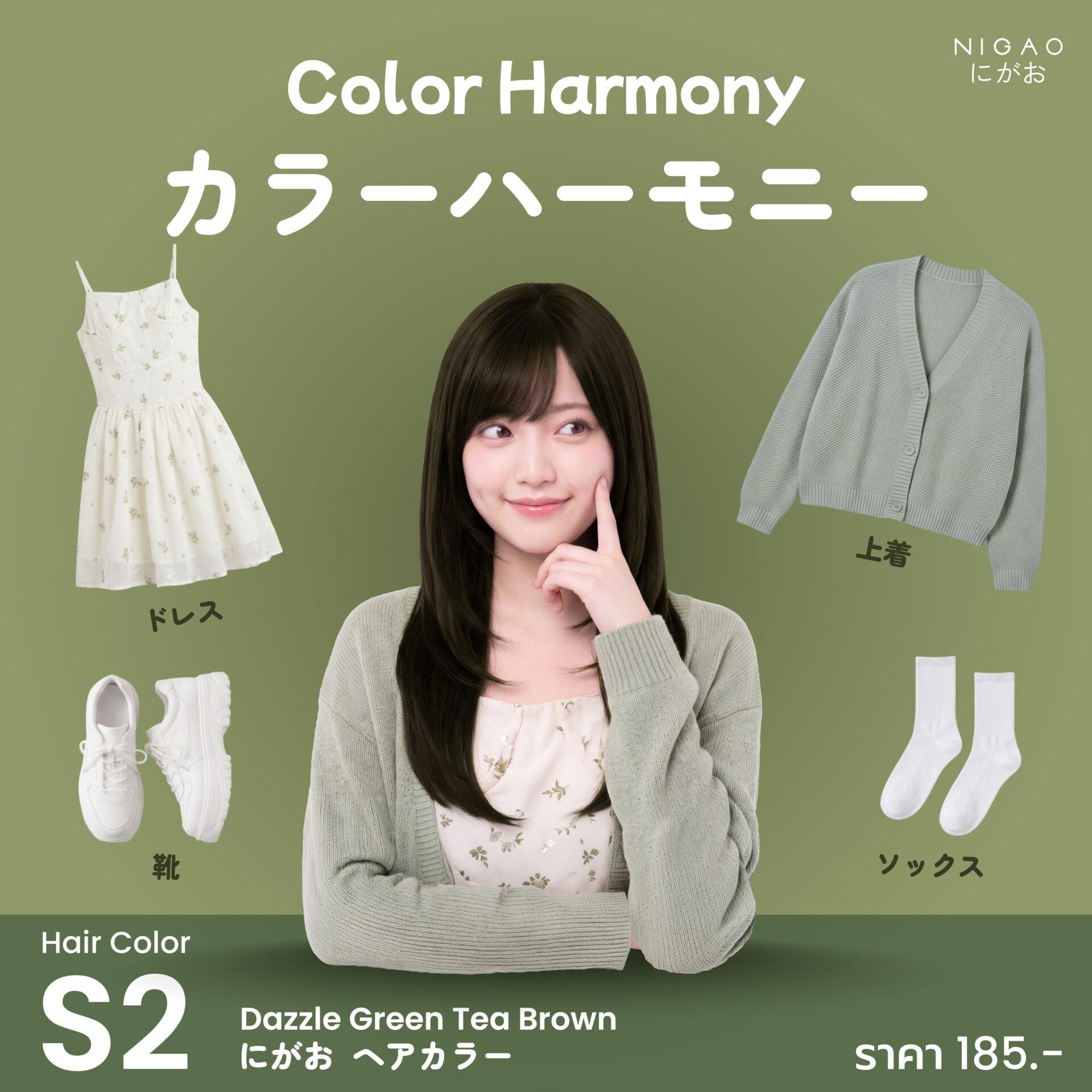 Color Harmony เลือกชุดให้เข้ากับสีผม NIGAO Hair Color