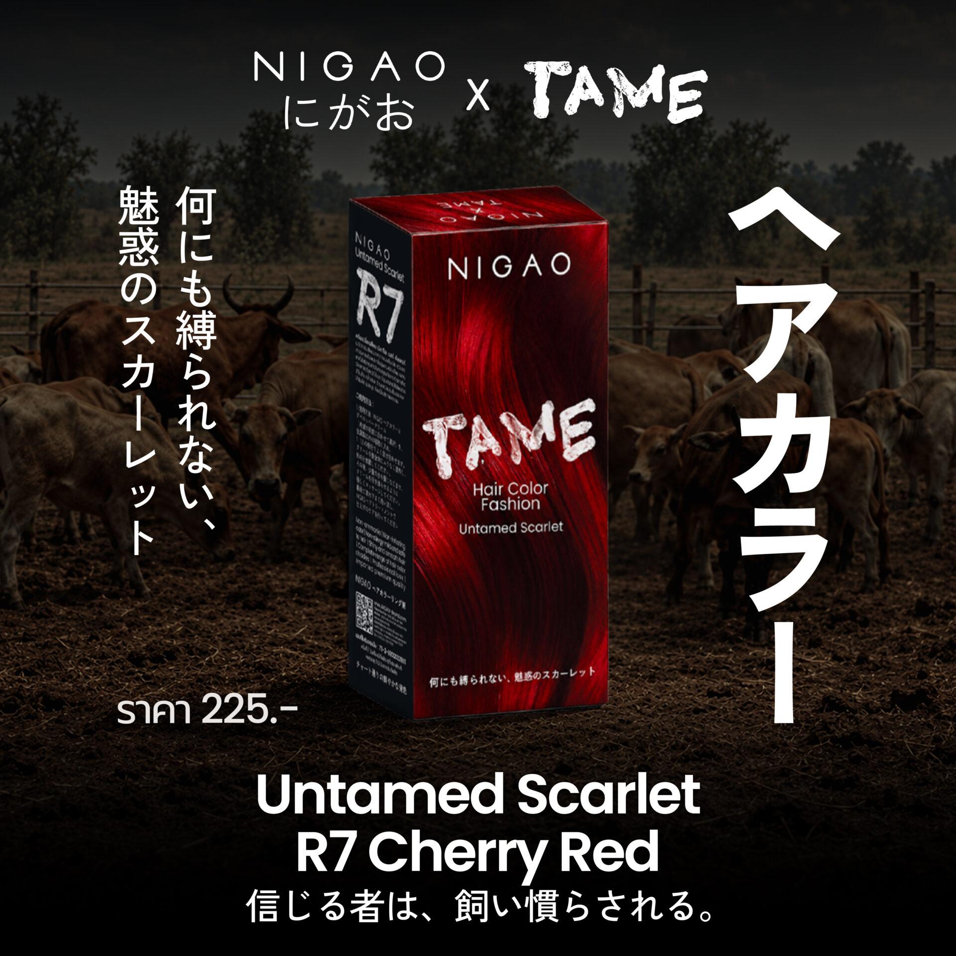 NIGAO x TAME บรรยากาศงาน GALA PREMIERE